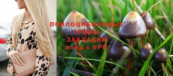 кристаллы Абаза