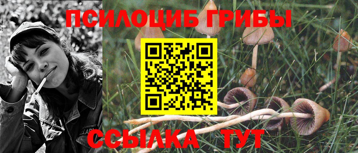 Галлюциногенные грибы Magic Shrooms Шарыпово