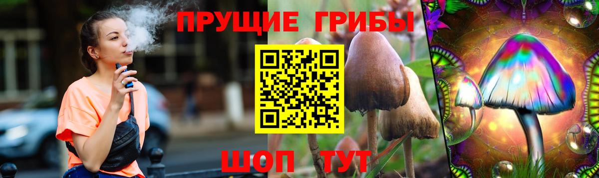 Шарыпово  хочу наркоту  Псилоцибиновые грибы Psilocybine cubensis  Вход с VPN  Галлюциногенные грибы Magic Shrooms 