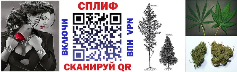 где купить наркоту  Шарыпово  Каннабис конопля 